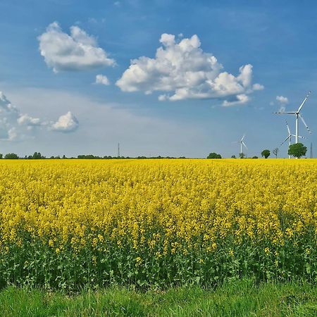 Agroturystyka Nowy Krakow Jezyce Kültér fotó