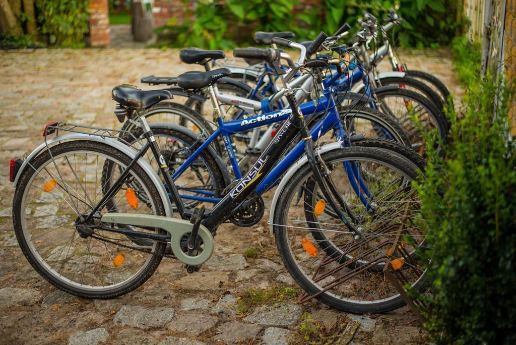 Agroturystyka Nowy Krakow Jezyce Kültér fotó